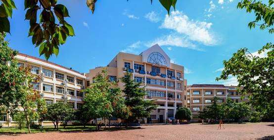 棕榈树和建筑中度可信度描述已自动生成