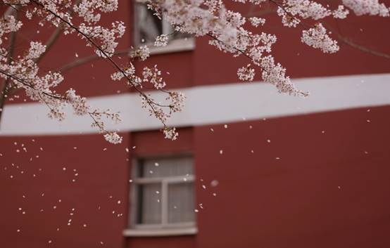 图片包含 游戏机, 建筑, 窗户描述已自动生成